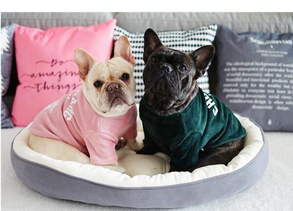 Frenchie World Shop Frenchie World® Sofa Bed