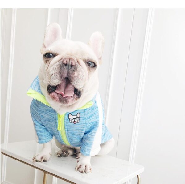 Frenchie World Shop Frenchie World Sport Top Tracksuit