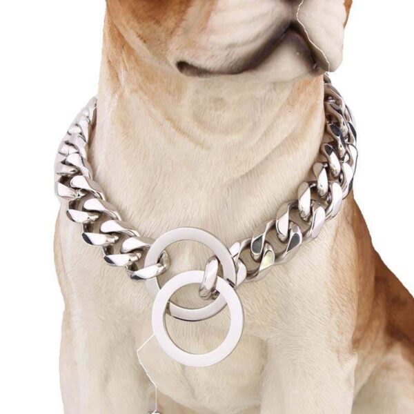 Frenchie World Shop Dog Accessories Frenchie World® Stainless steel collar