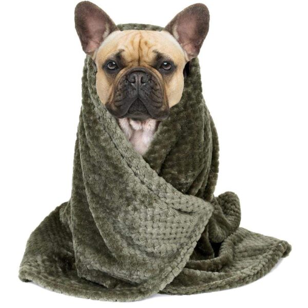 Frenchie World Shop Dog care Frenchie World® Super absorbent microfiber towel