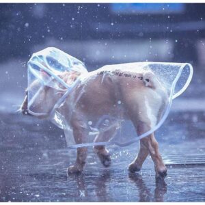 Frenchie World Shop Dog Clothing Frenchie World® Transparent waterproof raincoat