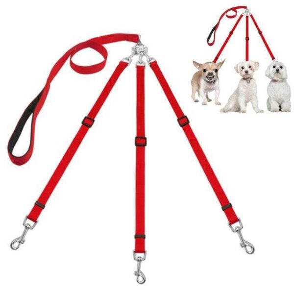 Frenchie World Shop Dog Accessories red / M Frenchie World® Triple dog leash