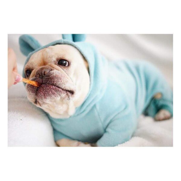 Frenchie World Shop Dog Clothing Frenchie World® ultra soft hoodie
