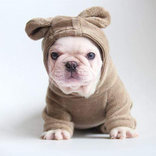 Frenchie World Shop Dog Clothing Frenchie World® ultra soft hoodie