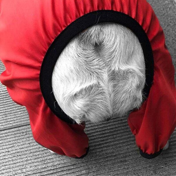 Frenchie World Shop Frenchie World Waterproof Raincoat Jumpsuit