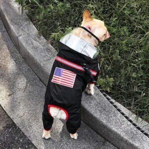 Frenchie World Shop Black / S Frenchie World Waterproof Raincoat Jumpsuit