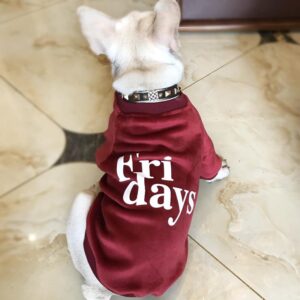 Frenchie World Shop Dog Clothing "Fridays" velvet shirt