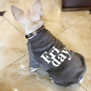 Frenchie World Shop Dog Clothing Gray / XXXL "Fridays" velvet shirt
