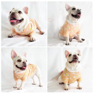 Frenchie World Shop Fried Eggs Frenchie T-Shirt