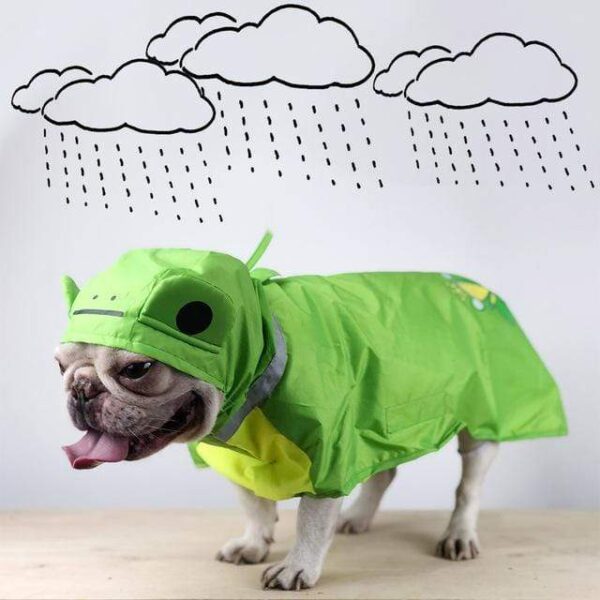 Frenchie World Shop Froggy French Bulldog Waterproof Raincoat