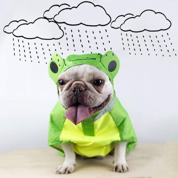 Frenchie World Shop Froggy French Bulldog Waterproof Raincoat