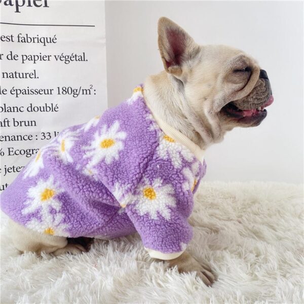 Frenchie World Shop Fuzzy Daisy French Bulldog Sweater
