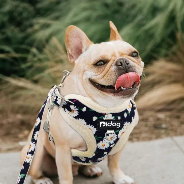 Frenchie World Shop Fuzzy Flowers French Bulldog Winter Harness
