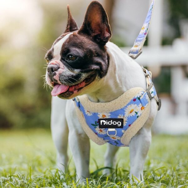 Frenchie World Shop Fuzzy Flowers French Bulldog Winter Harness