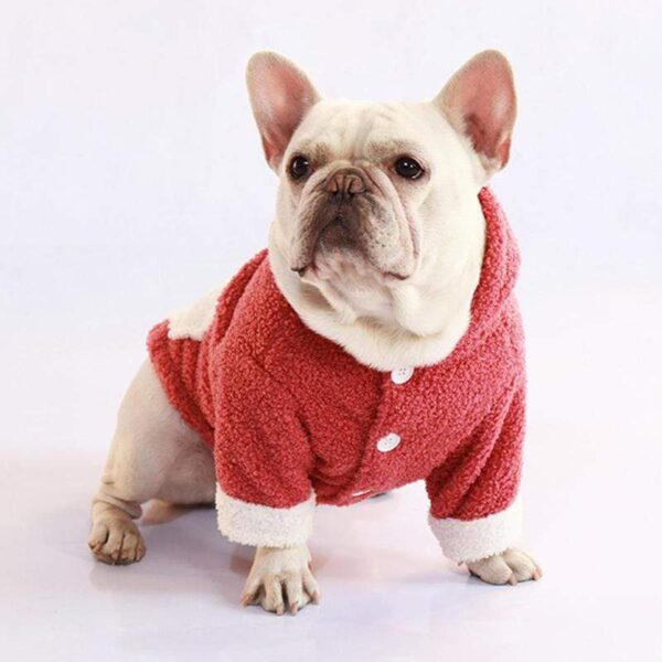 Frenchie World Shop Fuzzy winter Frenchie Hooded Sweater