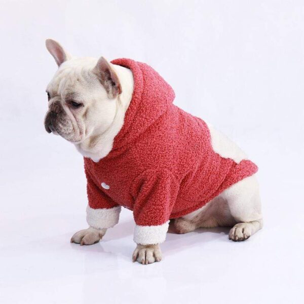 Frenchie World Shop Fuzzy winter Frenchie Hooded Sweater