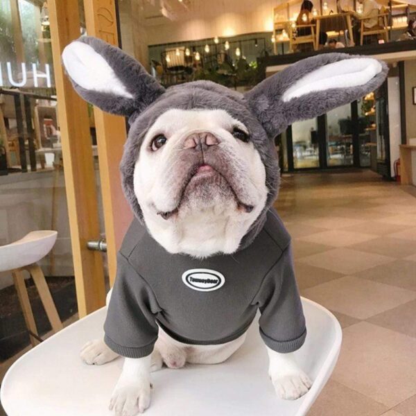 Frenchie World Shop Giant Bunny French Bulldog Hoodie