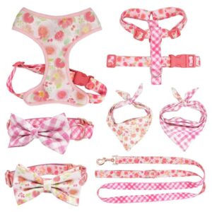 Frenchie World Shop Girly French Bulldog Harness, Leash and Collar Set