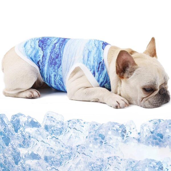 Frenchie World Shop Glacier Cooling Vest For French Bulldogs