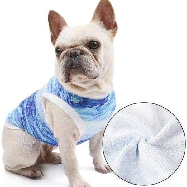 Frenchie World Shop Glacier Cooling Vest For French Bulldogs