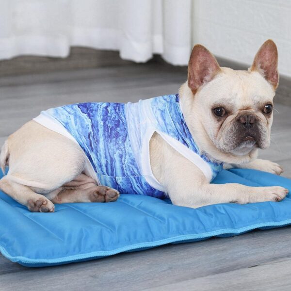 Frenchie World Shop Glacier Cooling Vest For French Bulldogs