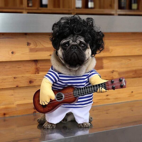 Frenchie World Shop Guitar Player dog costume