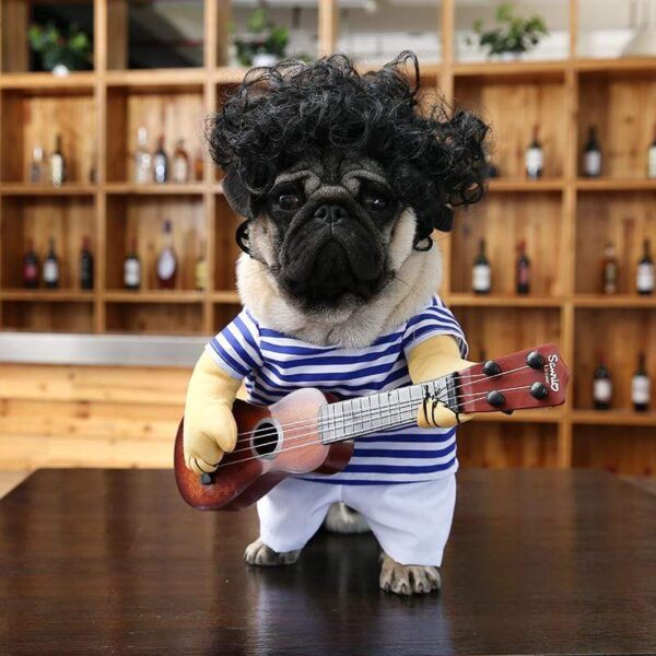 Frenchie World Shop Guitar Player dog costume