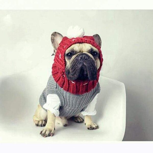 Frenchie World Shop Dog Accessories Handmade woolen Frenchie cap