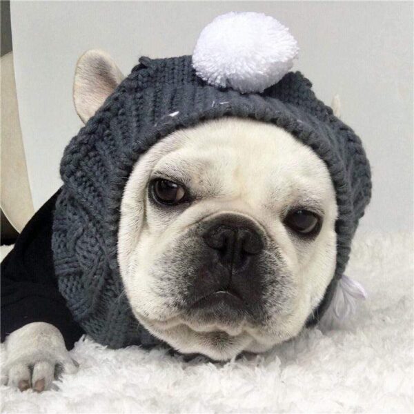 Frenchie World Shop Dog Accessories Handmade woolen Frenchie cap