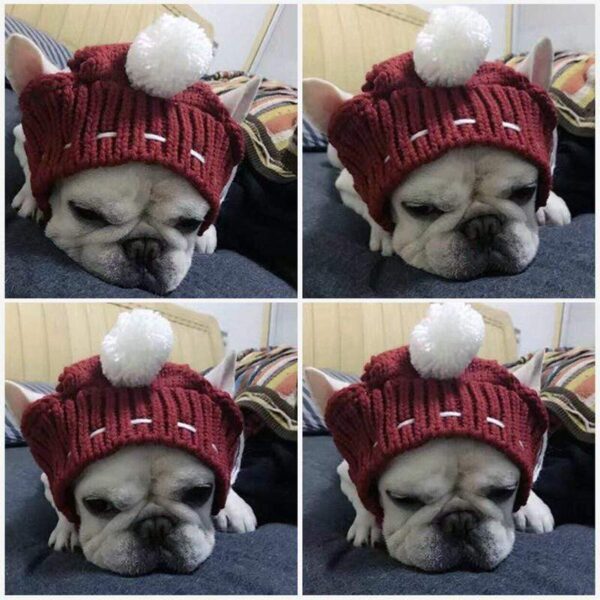 Frenchie World Shop Dog Accessories Handmade woolen Frenchie cap