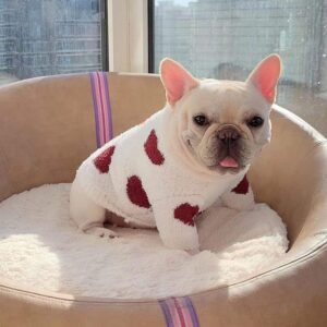 Frenchie World Shop Hearts Fleece French Bulldog Sweater