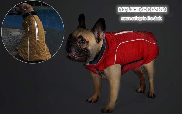 Frenchie World Shop Dog Clothing High Quality Water Repellent Dog Vest