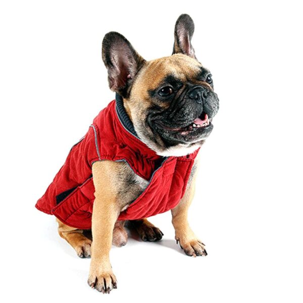Frenchie World Shop Dog Clothing High Quality Water Repellent Dog Vest