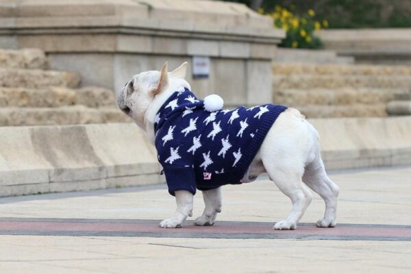 Frenchie World Shop Holiday Maple Hoodie Sweater