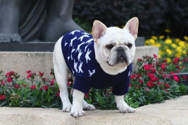 Frenchie World Shop Holiday Maple Hoodie Sweater