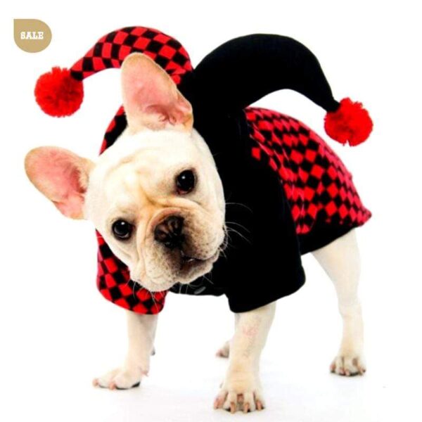 Frenchie World Shop Joker Dog Halloween Costume