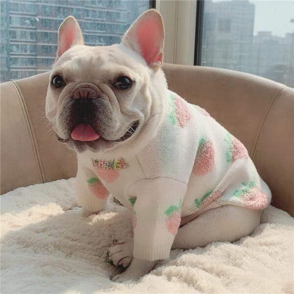 Frenchie World Shop Juicy Peach French Bulldog Sweater