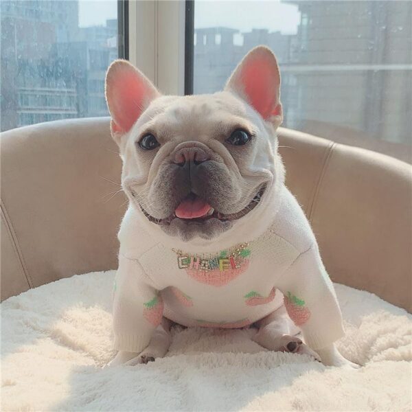 Frenchie World Shop Juicy Peach French Bulldog Sweater