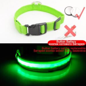 Frenchie World Shop LED Dog Collar