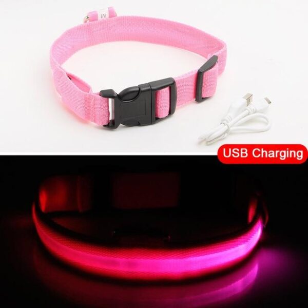 Frenchie World Shop LED Dog Collar