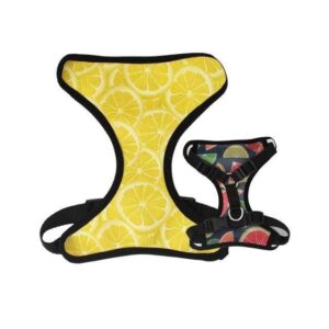 Frenchie World Shop harness only / XS(15-25cm Length) Lemons Reversible Harness