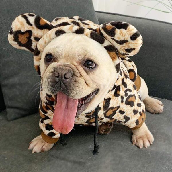 Frenchie World Shop Leopard French Bulldog Hoodie