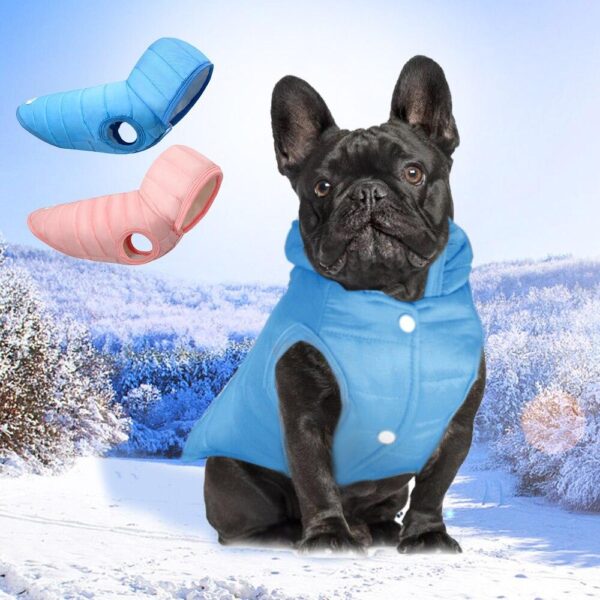 Frenchie World Shop Light Quilted French Bulldog Jacket