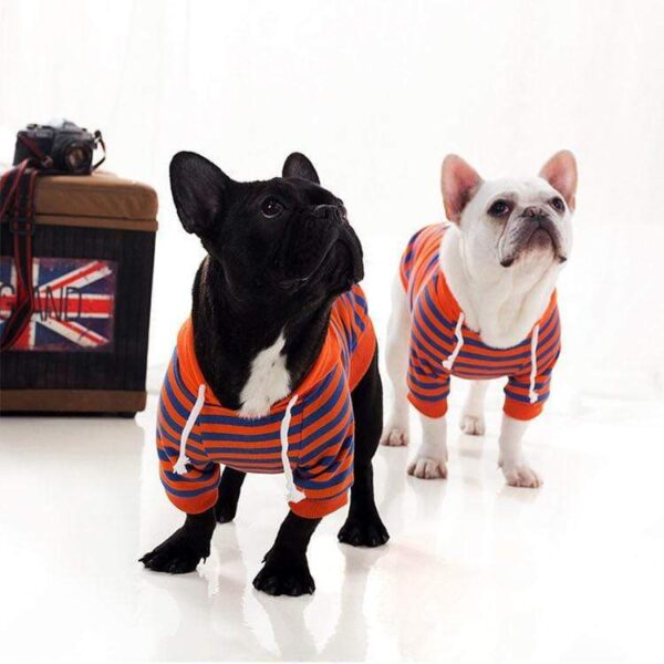 Frenchie World Shop Light Spring Striped French Bulldog Hoodie