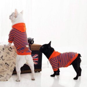 Frenchie World Shop Light Spring Striped French Bulldog Hoodie