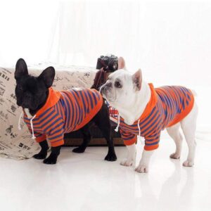 Frenchie World Shop Light Spring Striped French Bulldog Hoodie