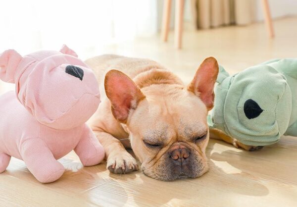 Frenchie World Shop Linen French Bulldog Chew Toy