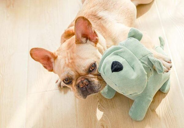 Frenchie World Shop Linen French Bulldog Chew Toy