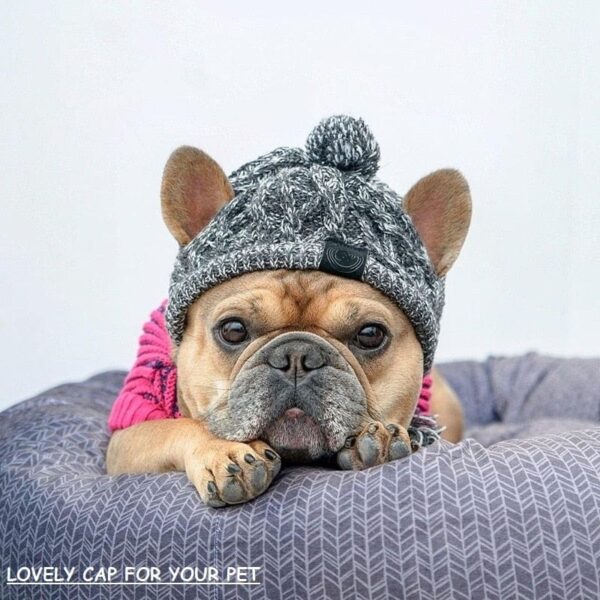 Frenchie World Shop Lovely Dog Hats Pet Winter Warm Caps Windproof Knitting Cap French Bulldog Hat Pet Products Pet Cool Caps