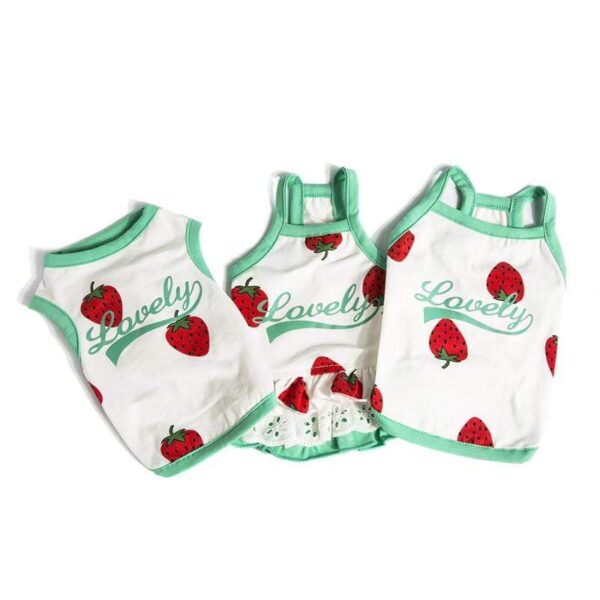 Frenchie World Shop Lovely French Bulldog Dress and T-shirt